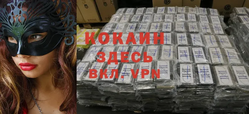 COCAIN VHQ  mega зеркало  Гудермес 