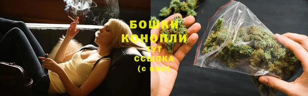 трава Балахна