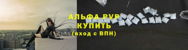 трава Балахна