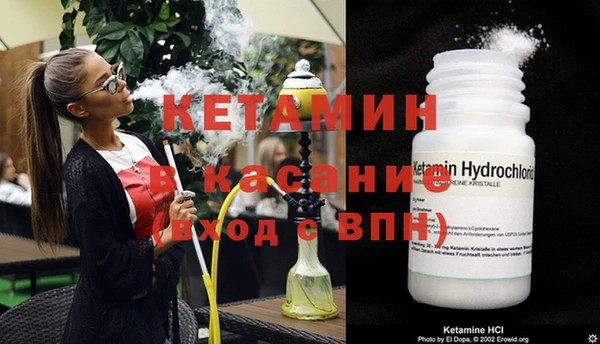 трава Балахна