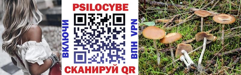 Галлюциногенные грибы мухоморы  Гудермес 